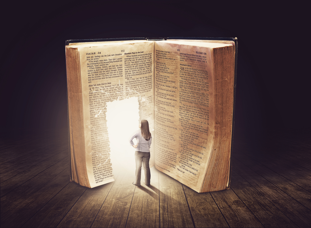 読書